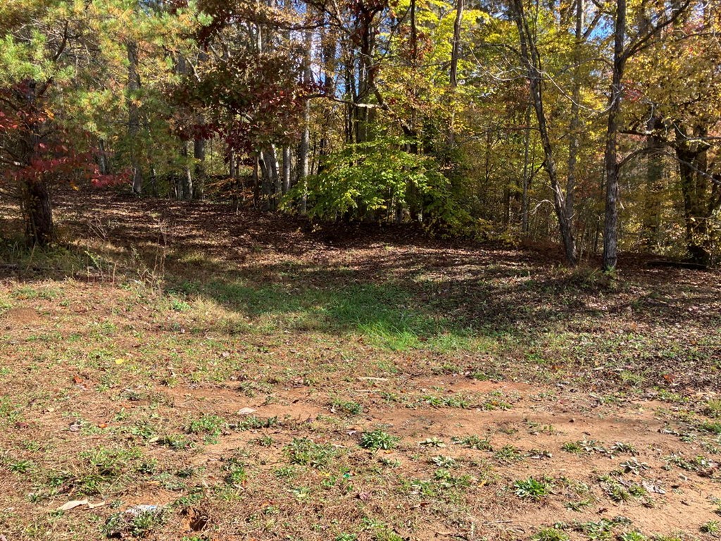 420038 Murphy Residential