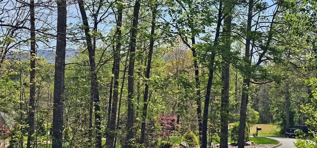 420046 Hayesville Residential