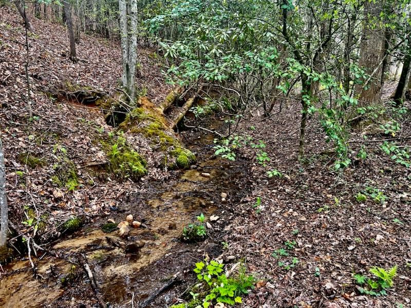 420049 Murphy Residential