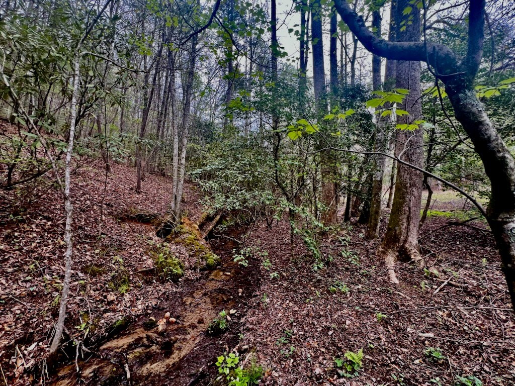 420049 Murphy Residential