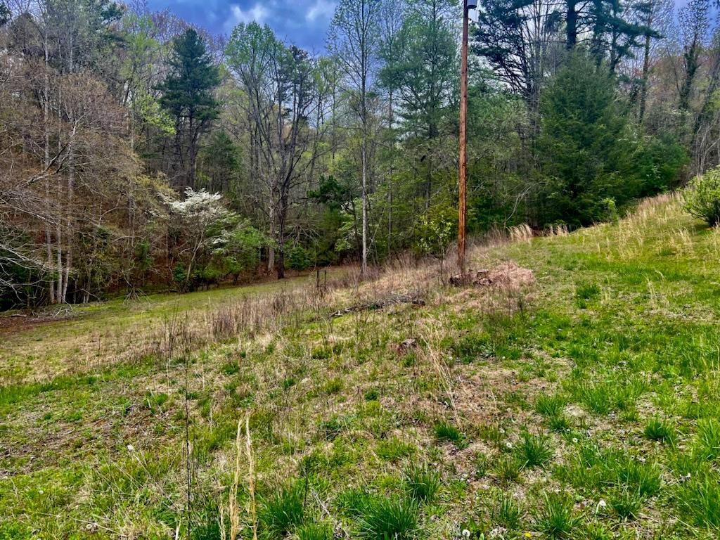 420049 Murphy Residential