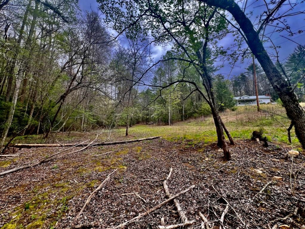 420049 Murphy Residential