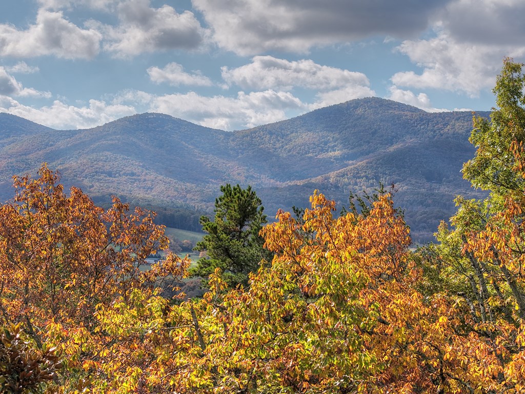 420053 Blairsville Residential