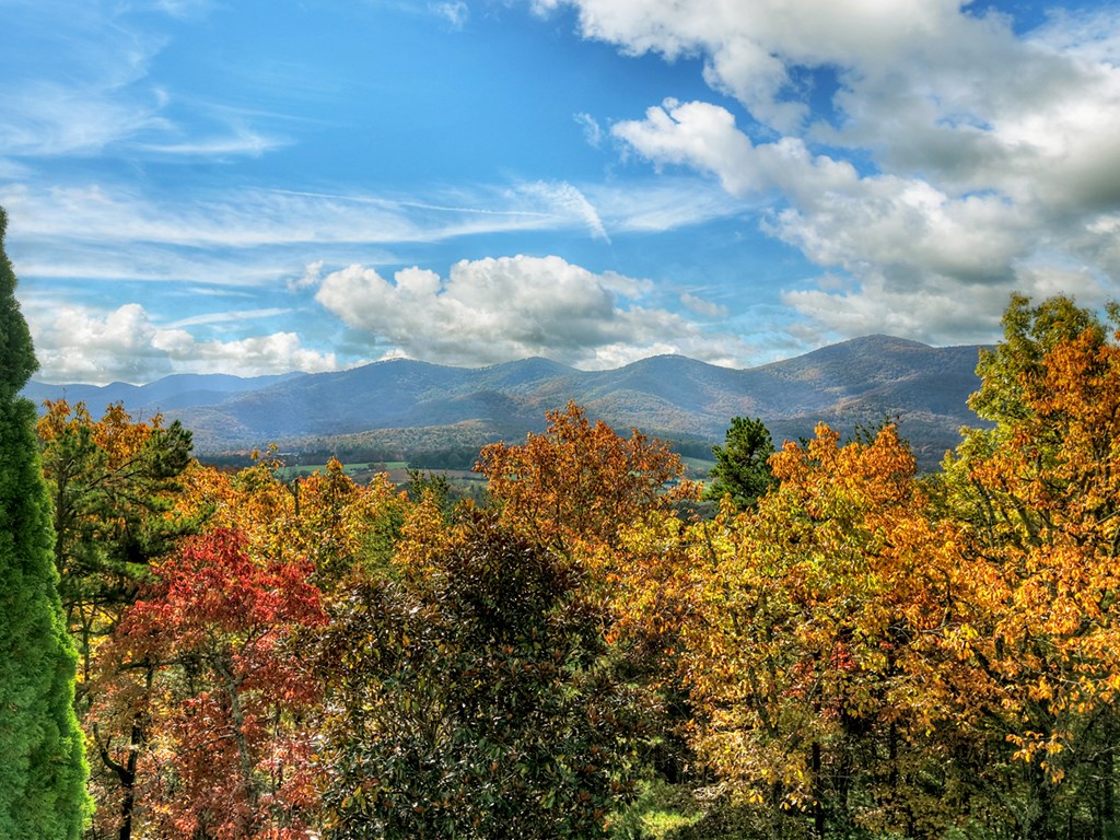 420053 Blairsville Residential