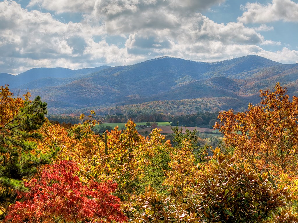 420053 Blairsville Residential