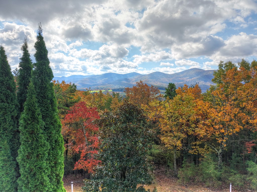 420053 Blairsville Residential