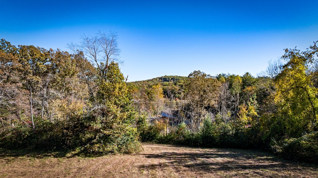 420056 Blue Ridge Residential