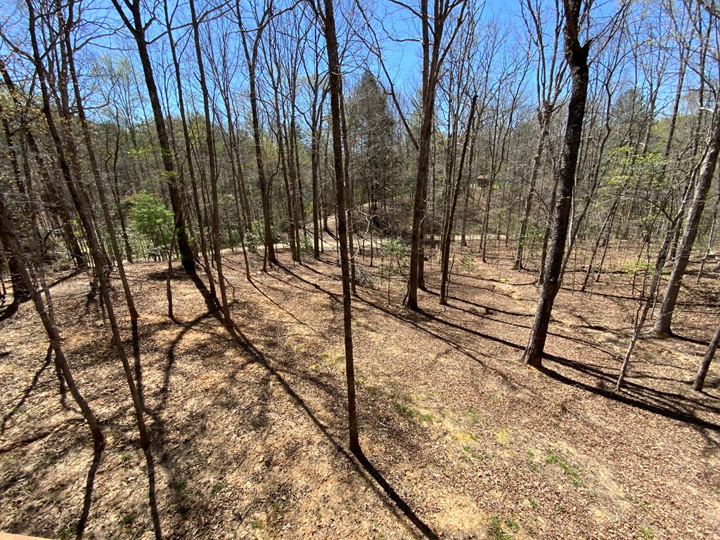 420062 Murphy Residential