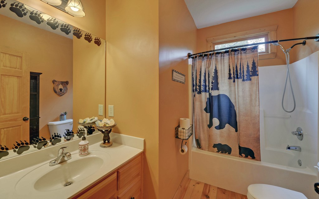 420063 Ellijay Residential