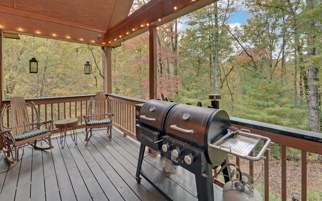 420063 Ellijay Residential