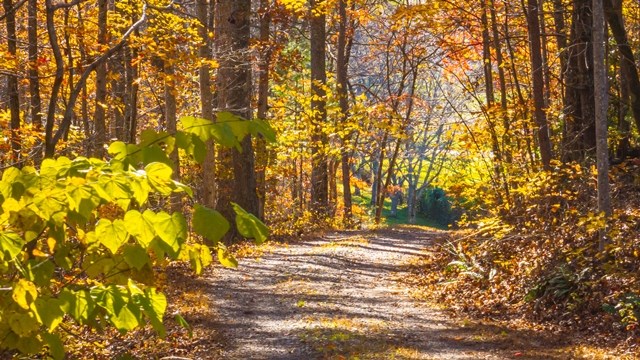 420102 Turtletown Residential