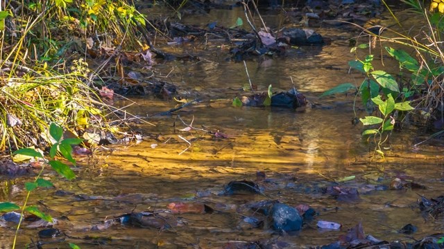 420102 Turtletown Residential