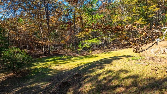 420102 Turtletown Residential