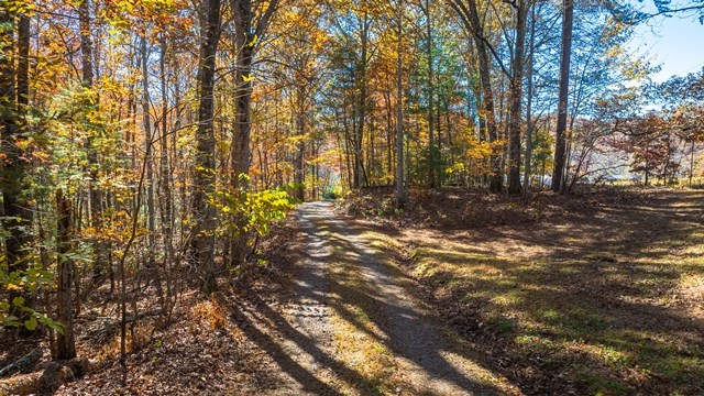 420102 Turtletown Residential