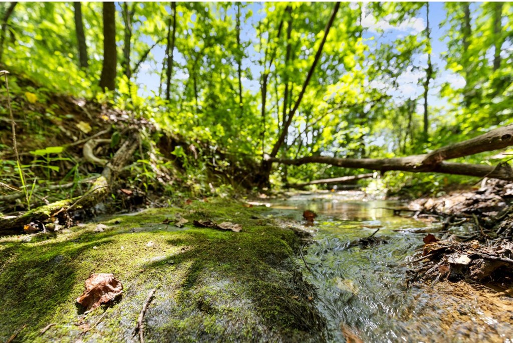 420113 Blue Ridge Residential