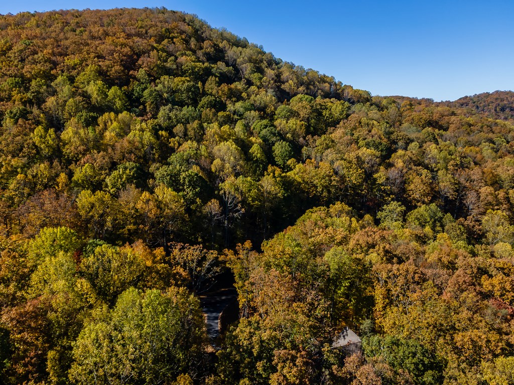 420122 Ellijay Residential