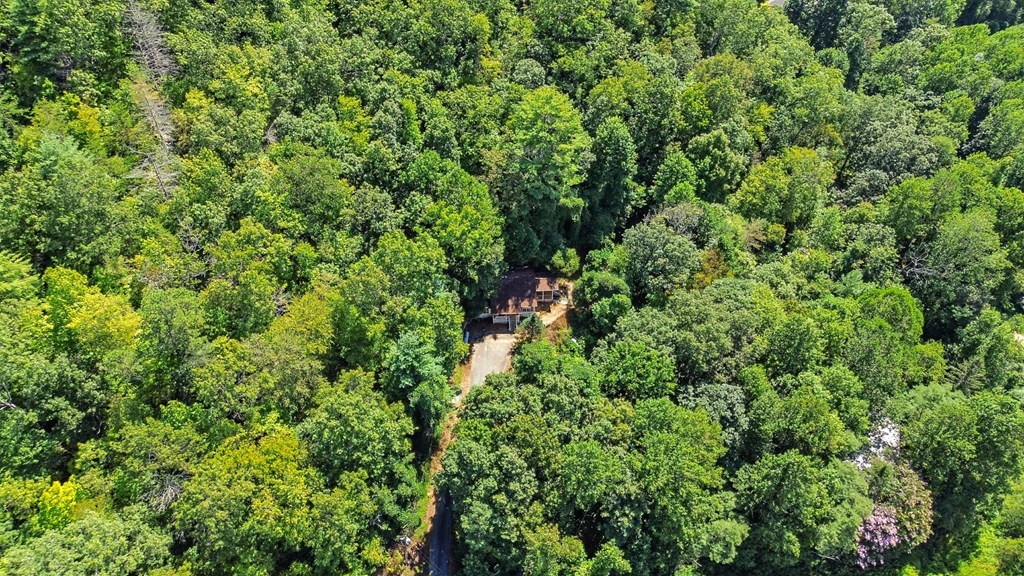 420132 Hiawassee Residential