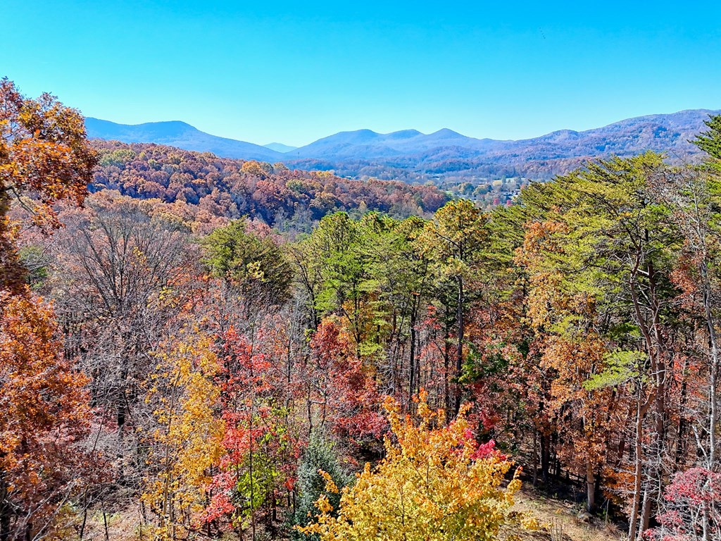 420133 Young Harris Residential