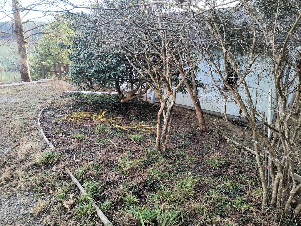 420139 Murphy Residential