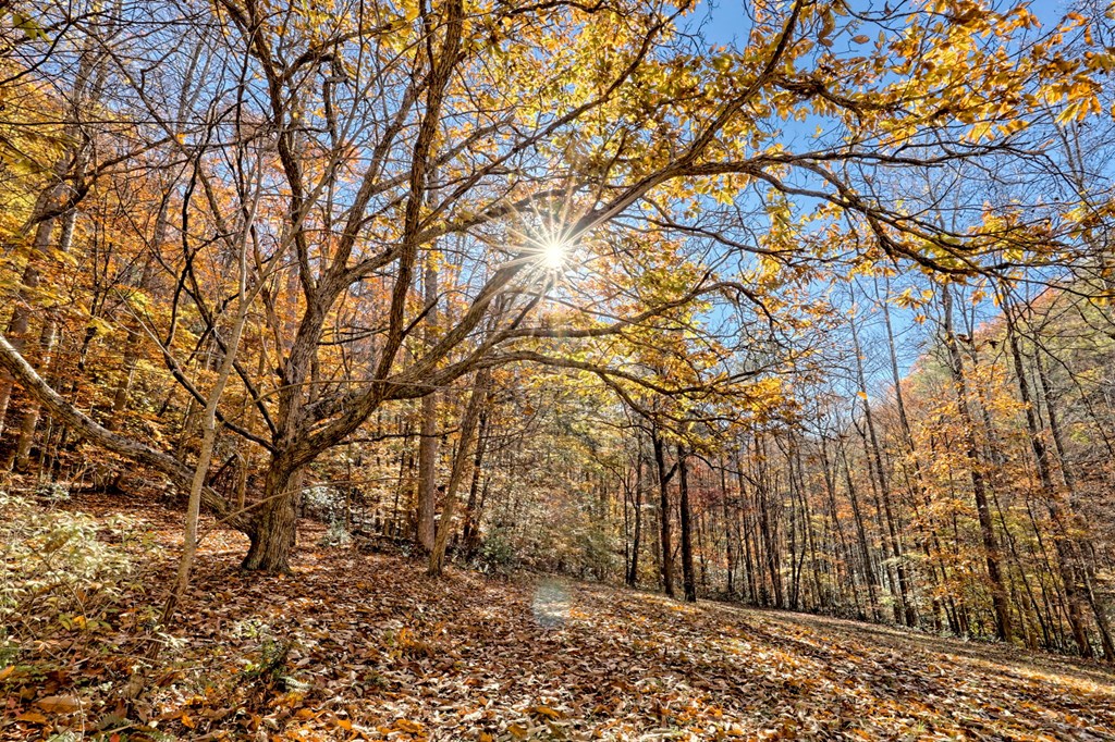 420140 Hayesville Residential