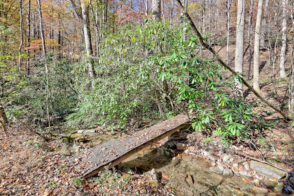 420140 Hayesville Residential