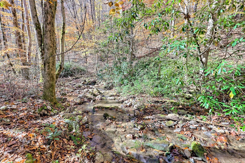 420140 Hayesville Residential