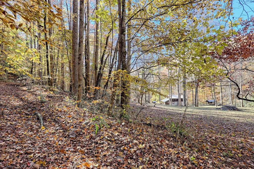 420140 Hayesville Residential