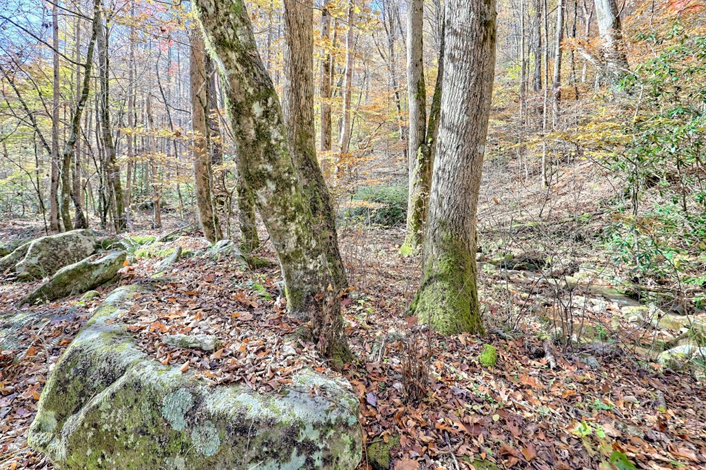 420140 Hayesville Residential