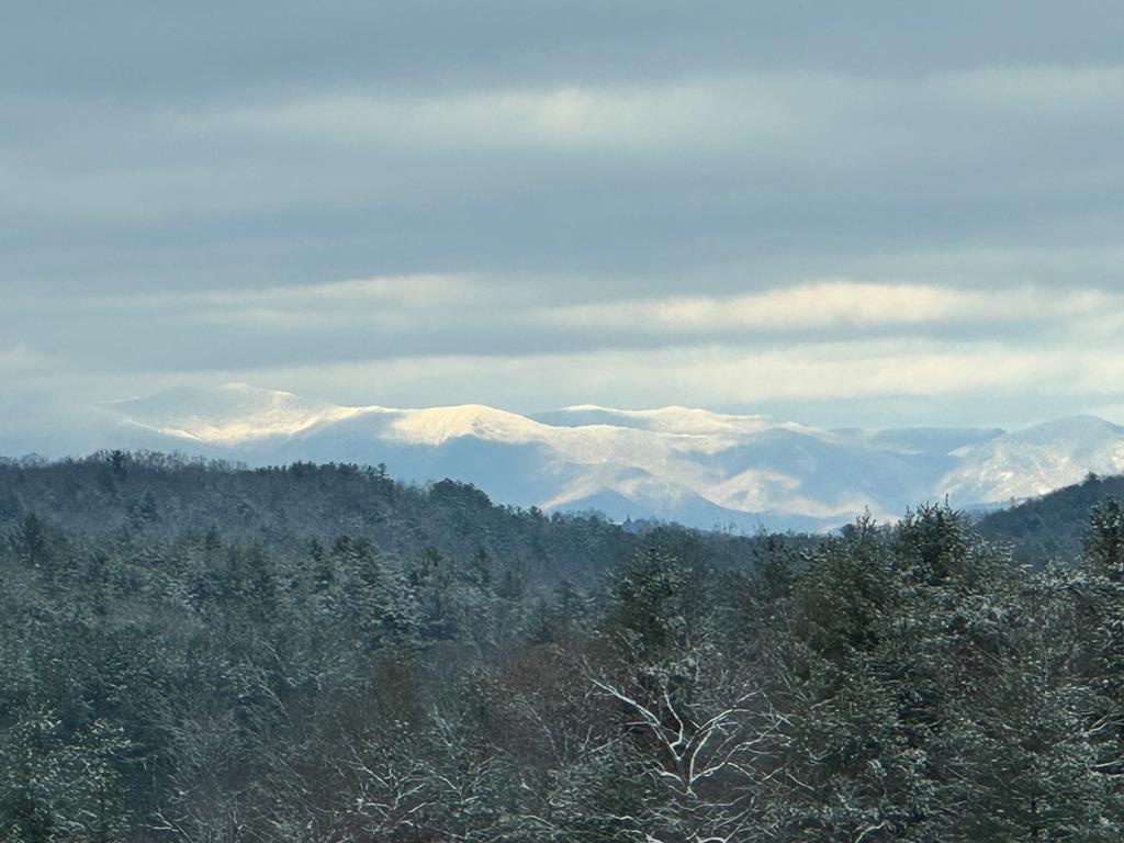 420176 Mineral Bluff Residential