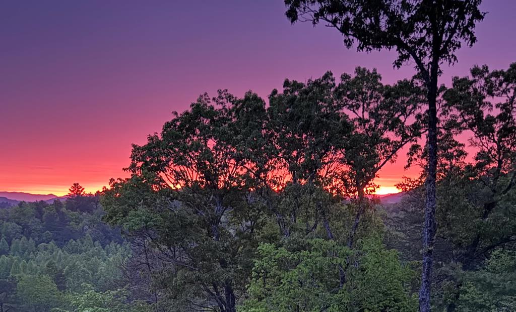 420176 Mineral Bluff Residential