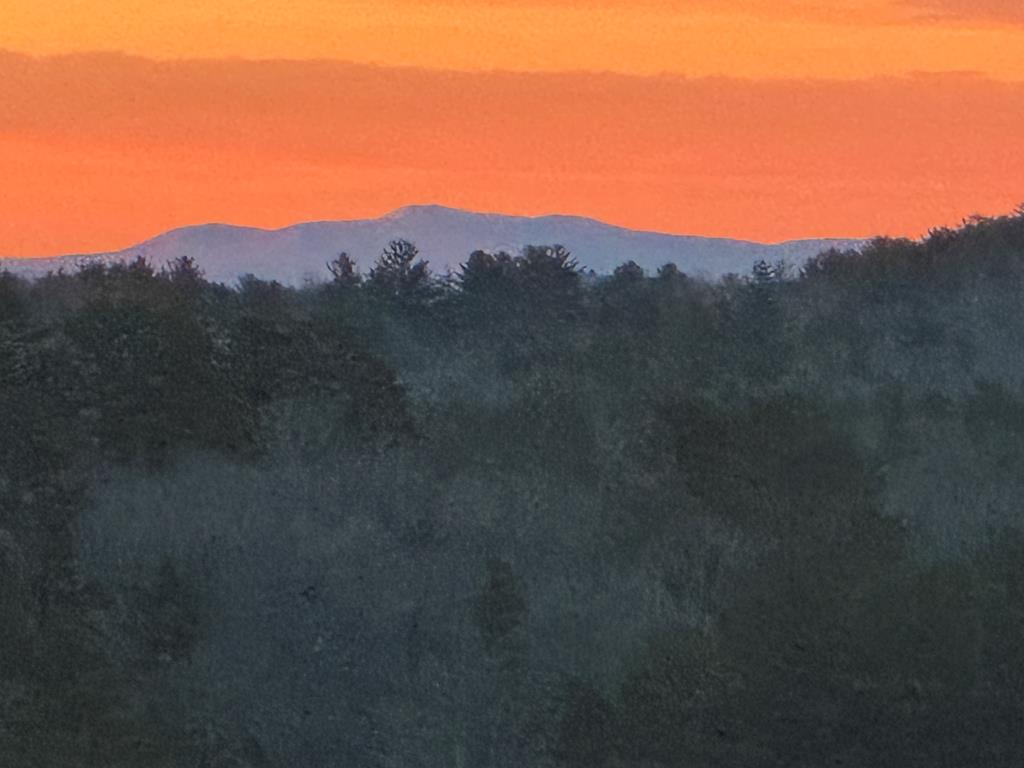 420176 Mineral Bluff Residential