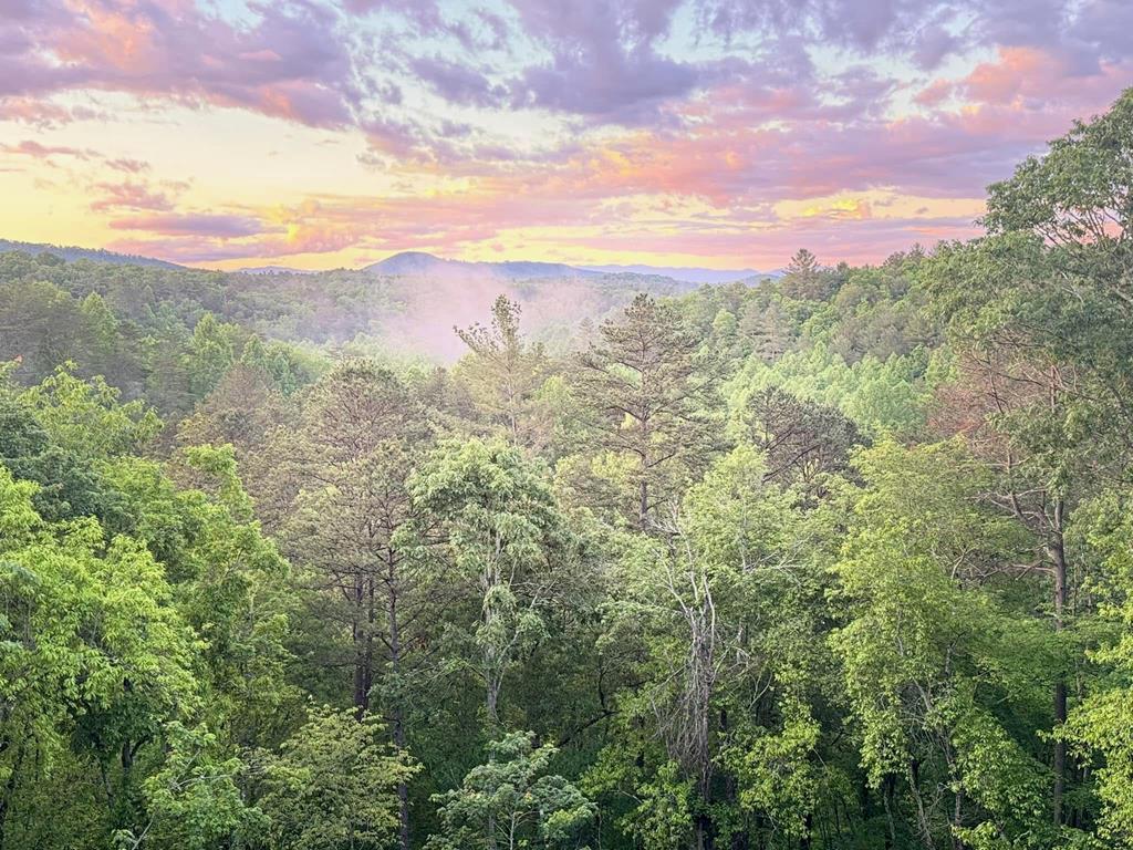 420176 Mineral Bluff Residential