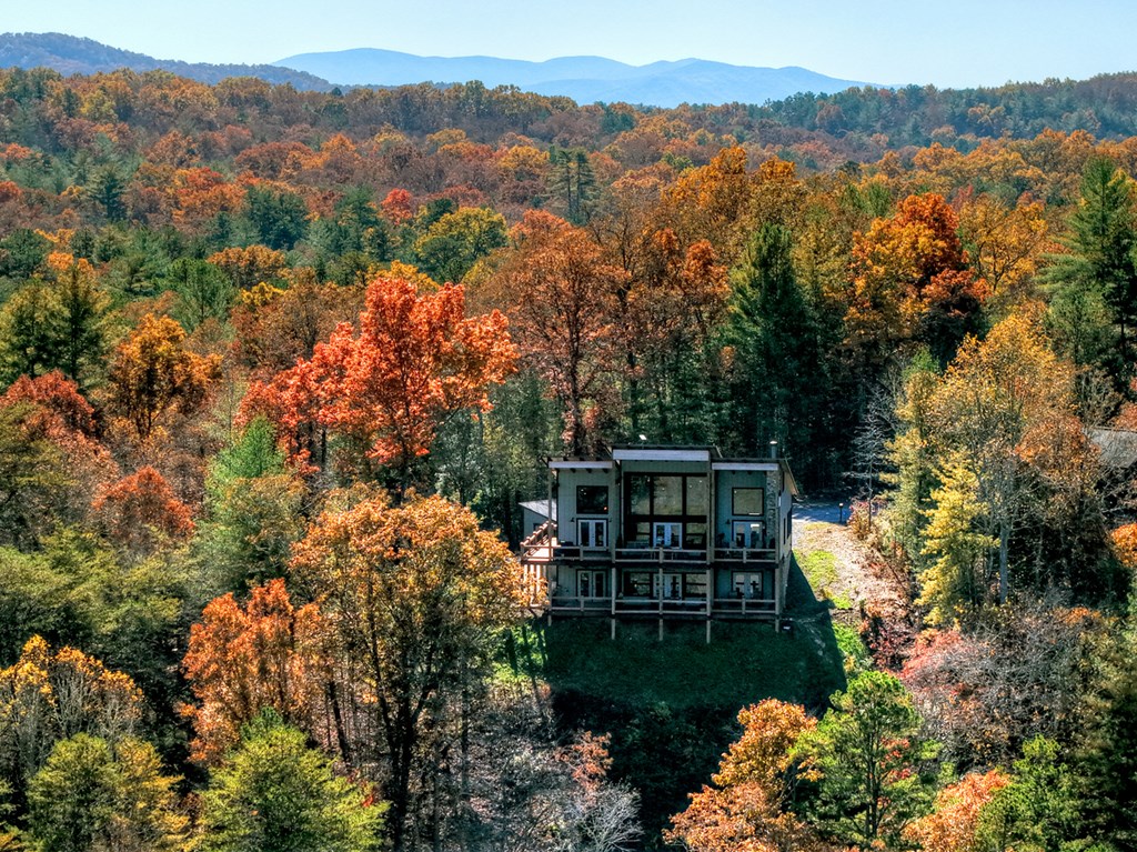 420176 Mineral Bluff Residential