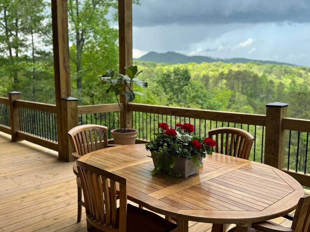 420176 Mineral Bluff Residential