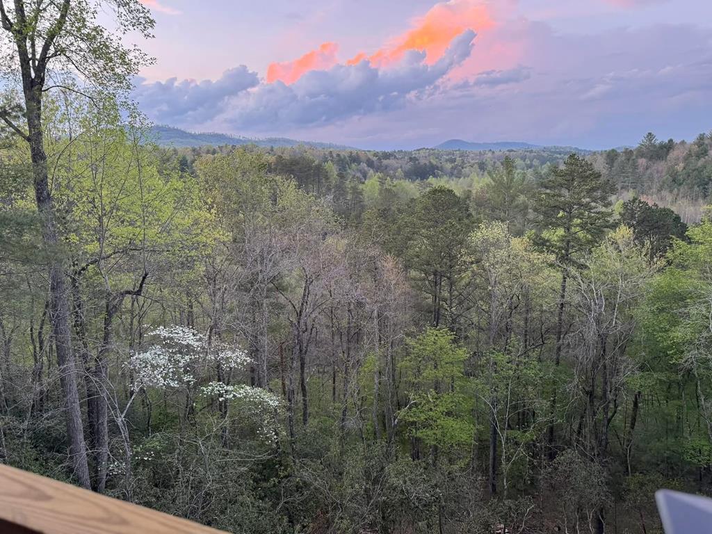 420176 Mineral Bluff Residential