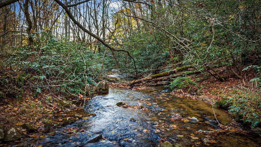 420183 Morganton Residential