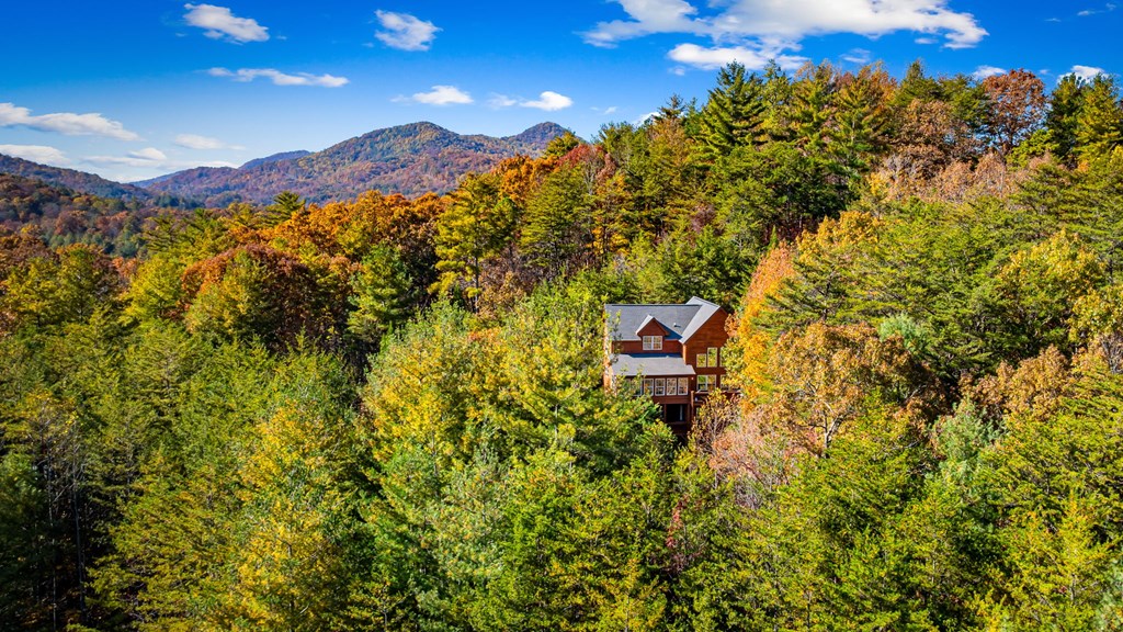 420196 Blairsville Residential