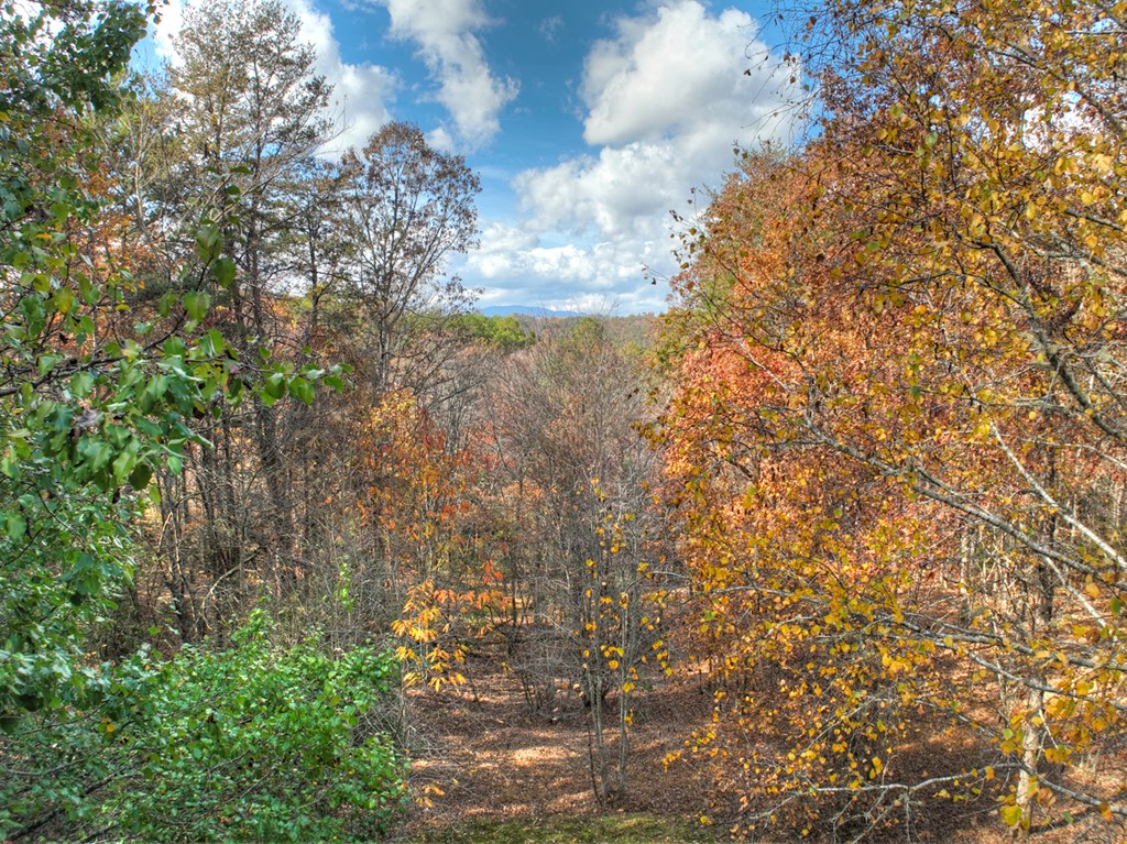 420199 Mineral Bluff Residential