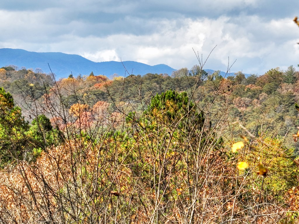 420199 Mineral Bluff Residential