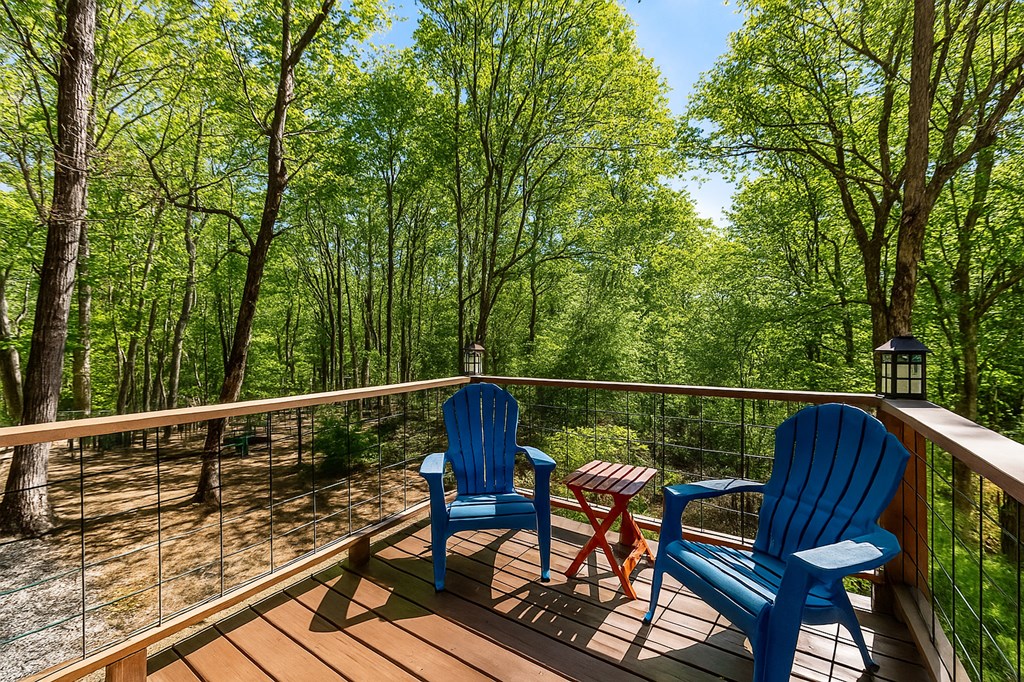 420202 Ellijay Residential