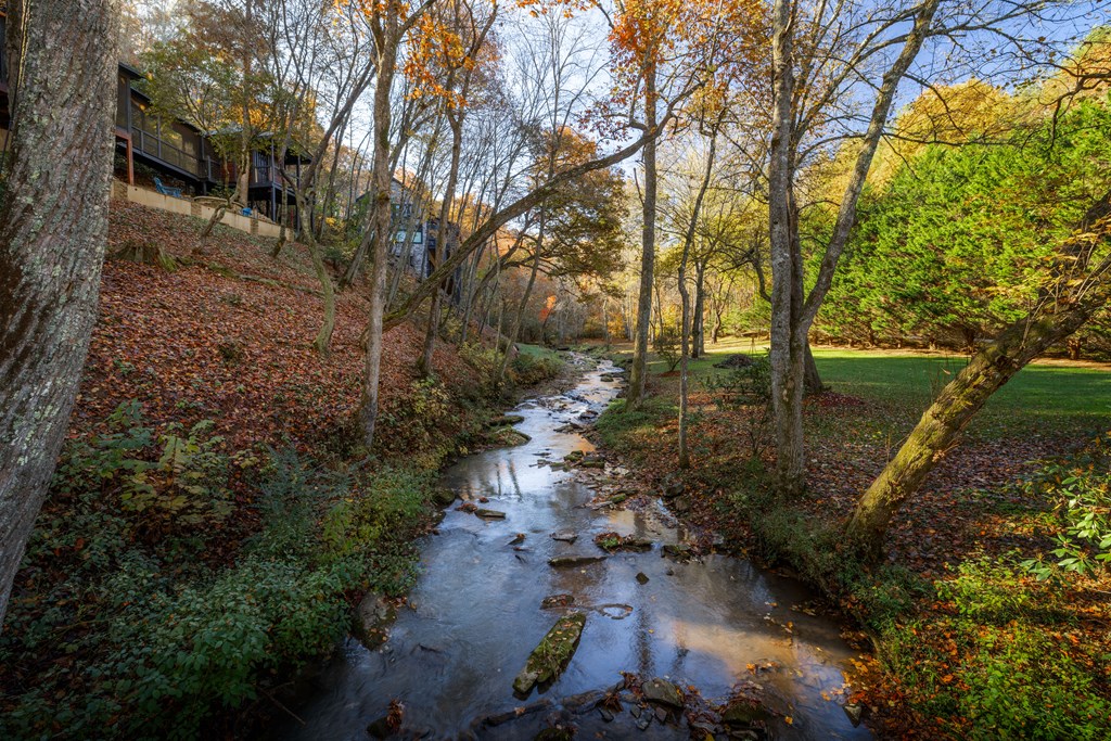 420203 Blue Ridge Residential