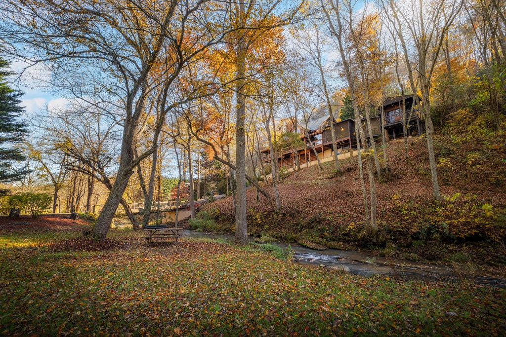 420203 Blue Ridge Residential