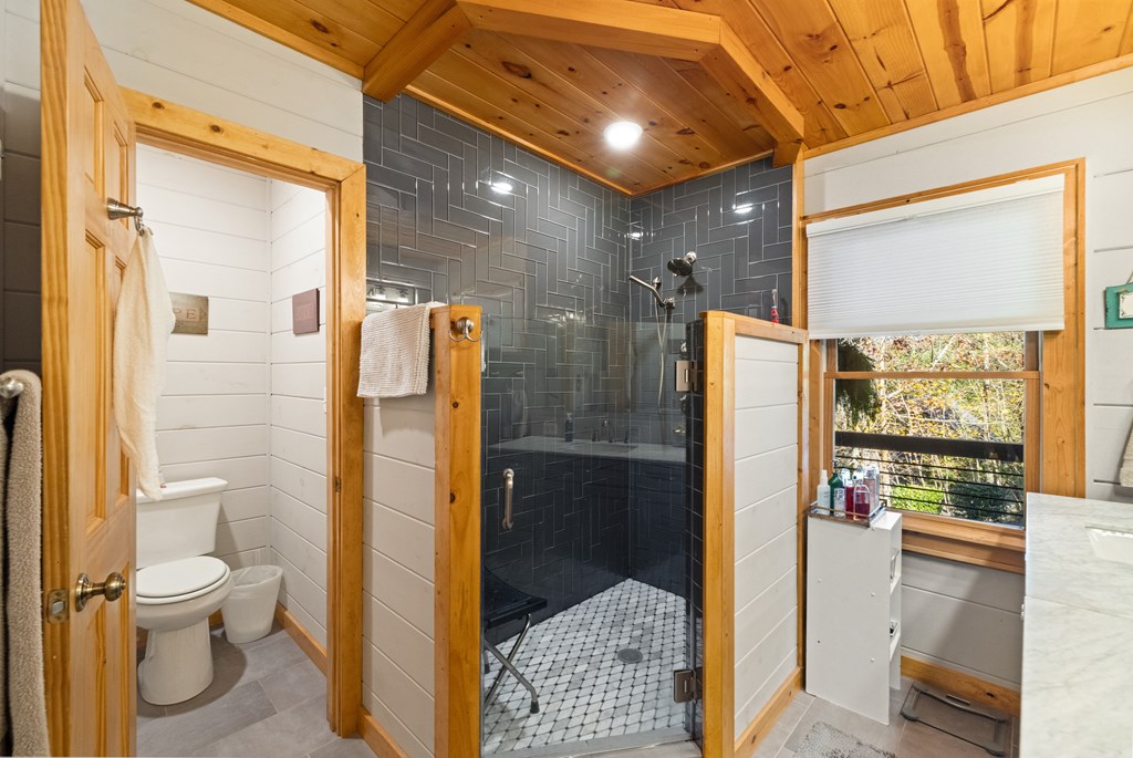 420203 Blue Ridge Residential