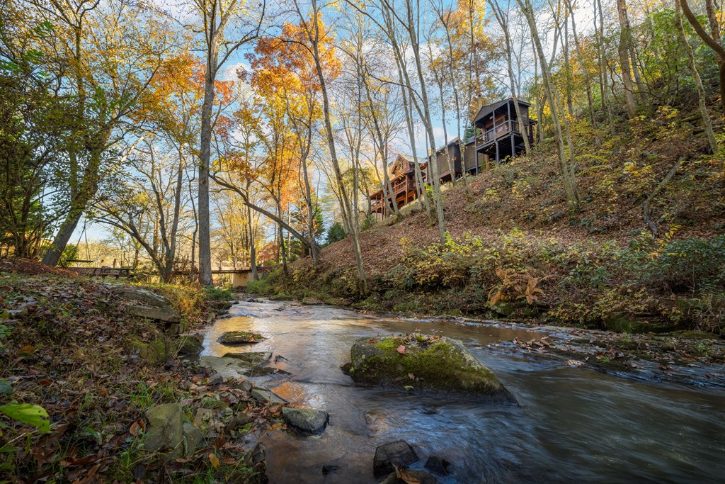 420203 Blue Ridge Residential