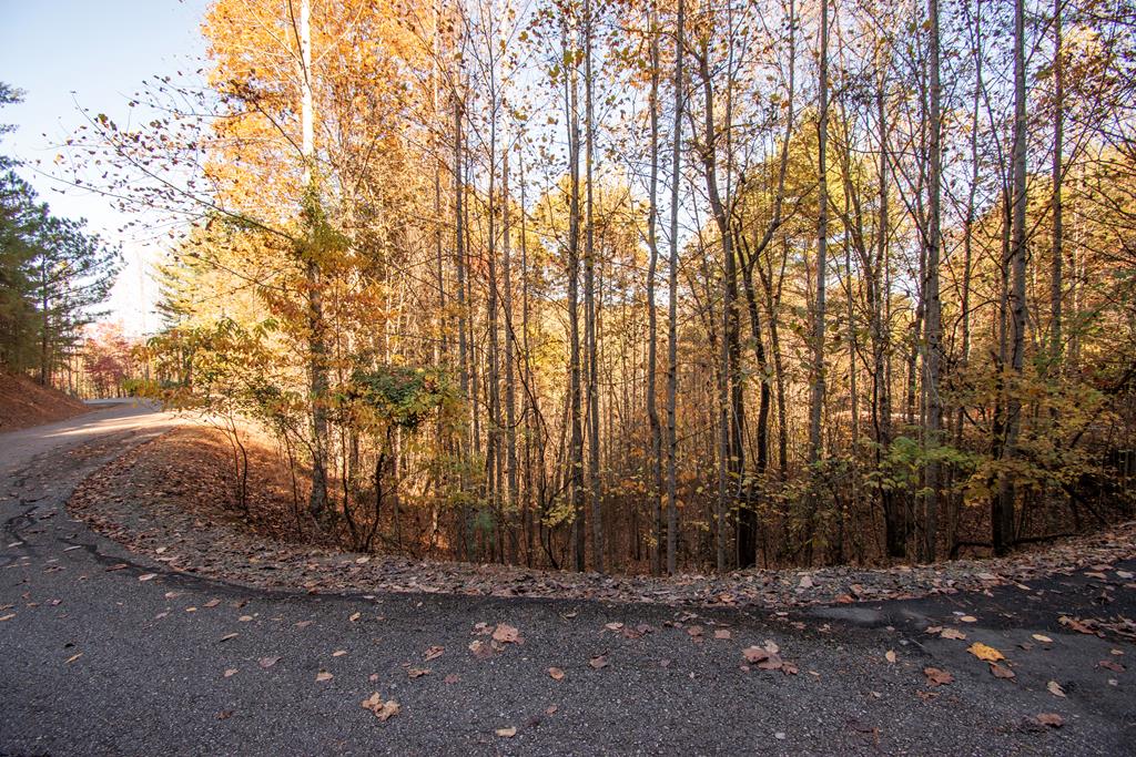 420214  Land
