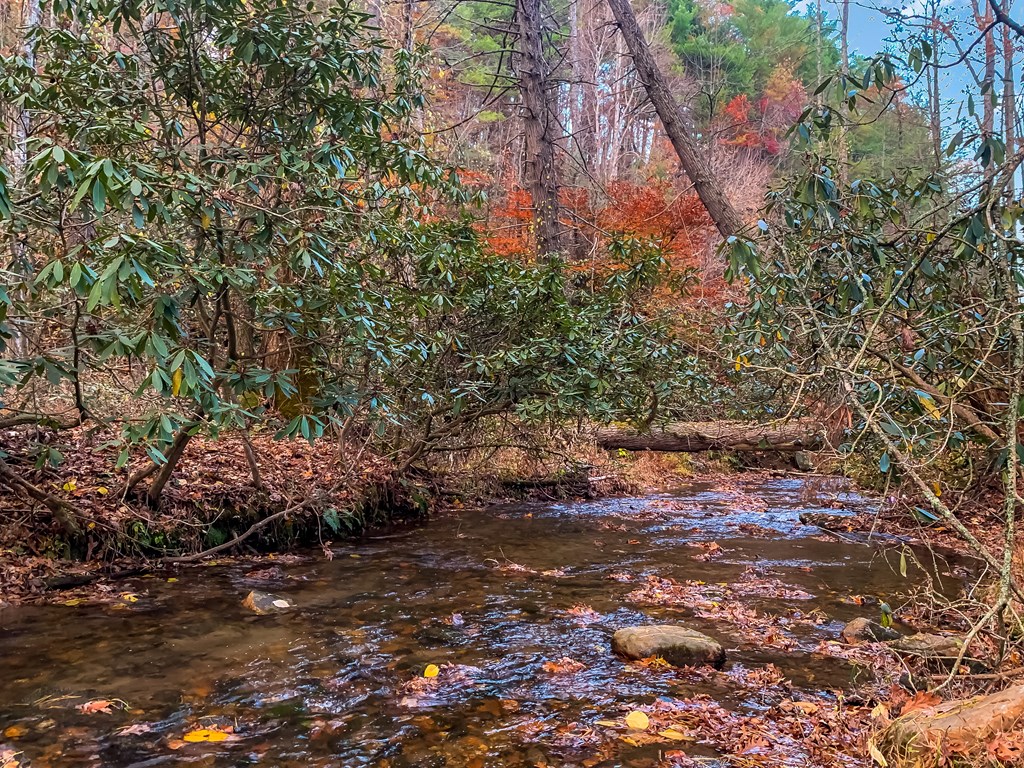 420234 Blue Ridge Residential