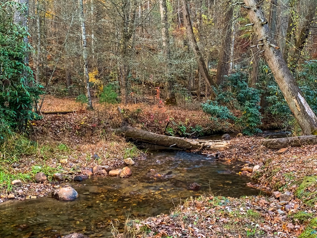 420234 Blue Ridge Residential