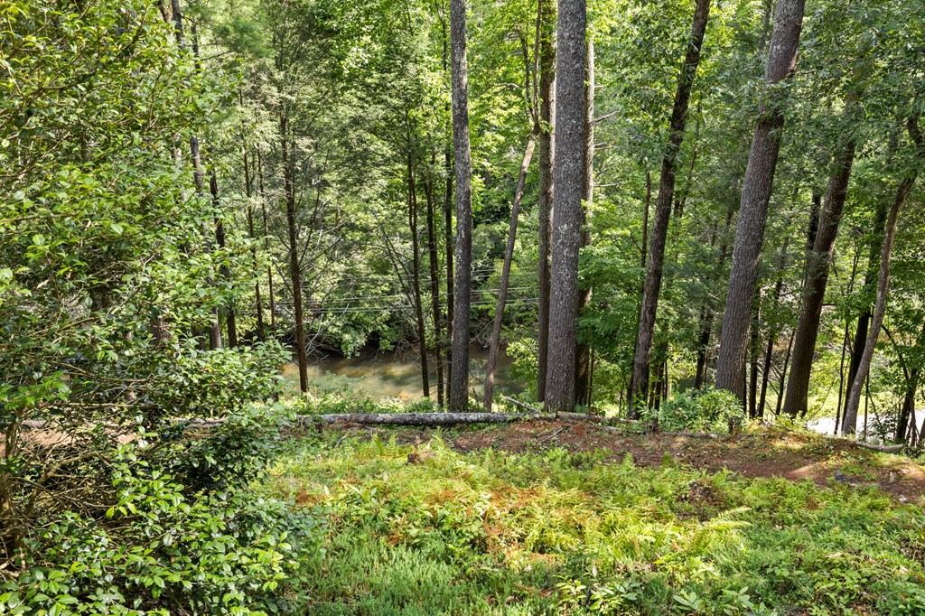 420235 Suches Residential