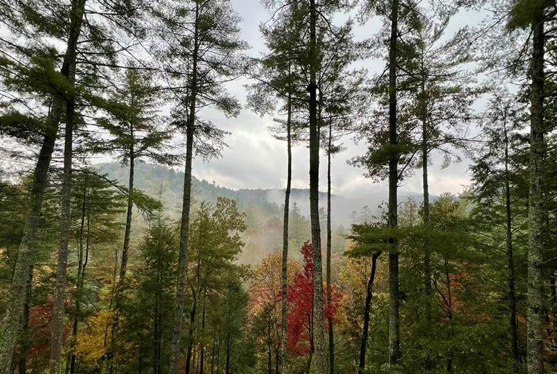 420235 Suches Residential