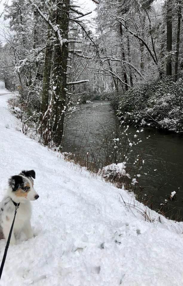 420235 Suches Residential